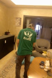 مكافحة البق في السعودية مع شركة كفاءة النقاء