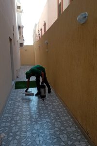 مكافحة صراصير البالوعات في السعودية | كفاءة النقاء