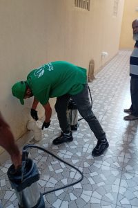 التخلص من صراصير المجاري في المنازل والمطابخ | كفاءة النقاء