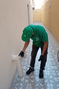 خدمات إبادة صراصير البالوعات نهائياً | كفاءة النقاء