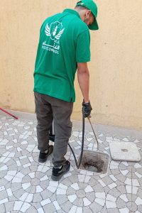 الحل النهائي لمشكلة صراصير المجاري