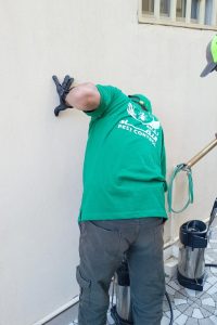 شركة كفاءة النقاء لمكافحة الحشرات و صراصير البالوعات بأحدث التقنيات