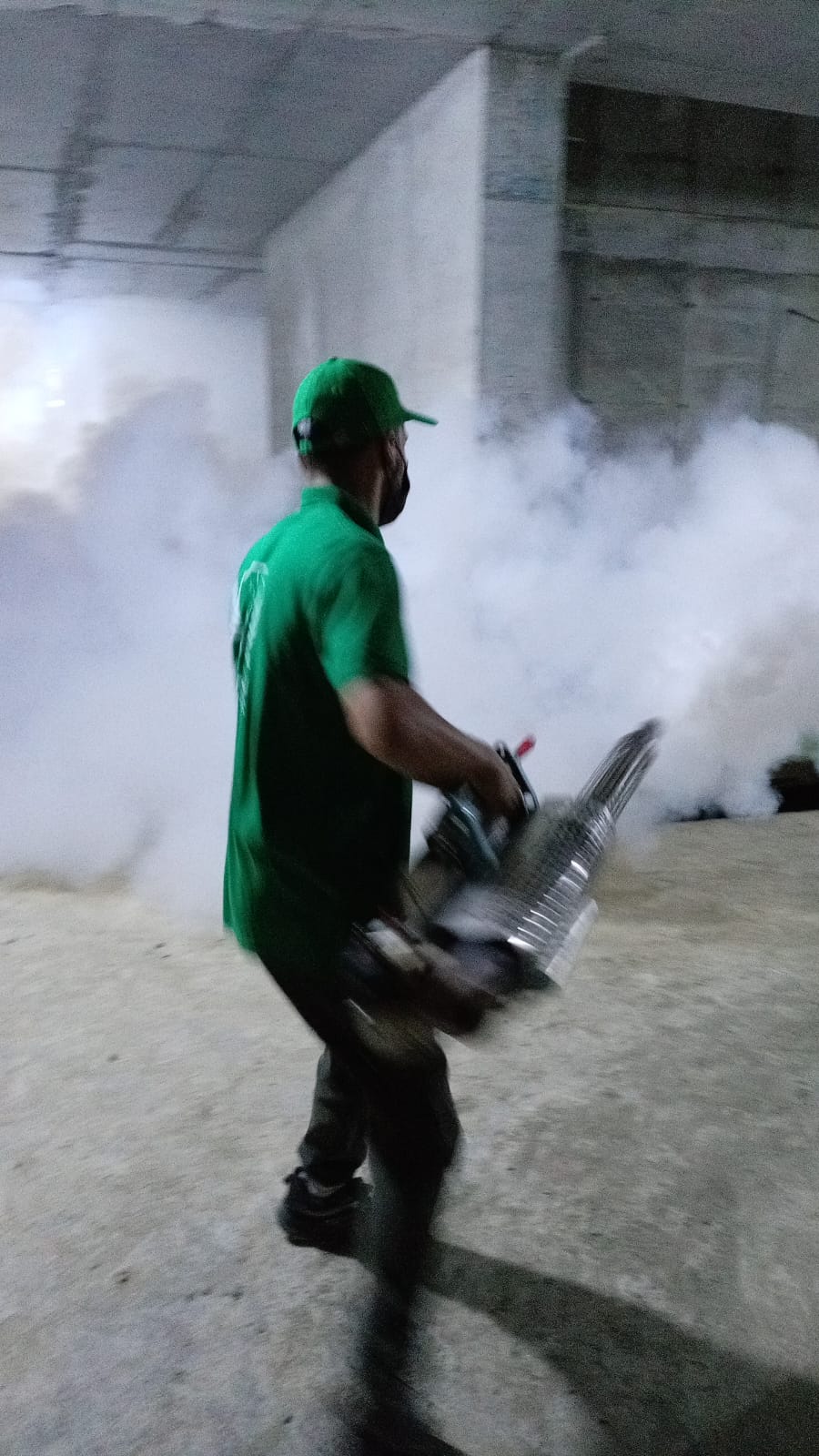 شركة كفاءة النقاء لمكافحة الحشرات | مكافحة البعوض بكفاءة عالية