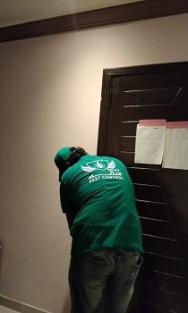Professional Termite Control Services-2 Professional Termite Control Services-2
