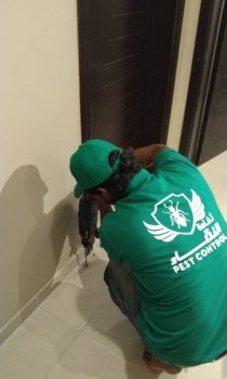 Professional Termite Control Services Professional Termite Control Services